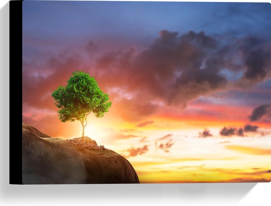 Canvas - Fel Groen Gekleurde Boom met Prachtige Zonsondergang op een Berglandschap - 40x30 cm Foto op Canvas Schilderij (Wanddecoratie op Canvas)