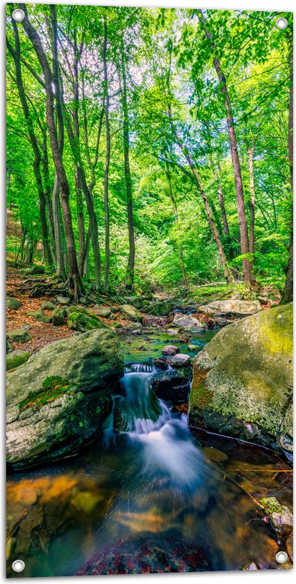 Tuinposter – Bos met een Stromend Beekje tussen Stenen - 50x100 cm Foto op Tuinposter (wanddecoratie voor buiten en binnen)