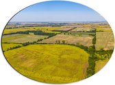Dibond Ovaal - Bovenaanzicht Landschap met Gras en Planten - 56x42 cm Foto op Ovaal (Met Ophangsysteem)