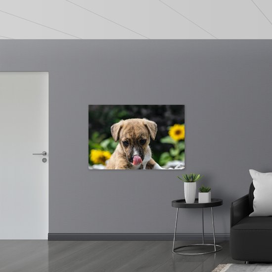 Acrylglas - Puppy Likkend aan Snuit - 120x80 cm Foto op Acrylglas (Met Ophangsysteem)