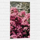 Muursticker - Roze Bloementjes - 50x100 cm Foto op Muursticker