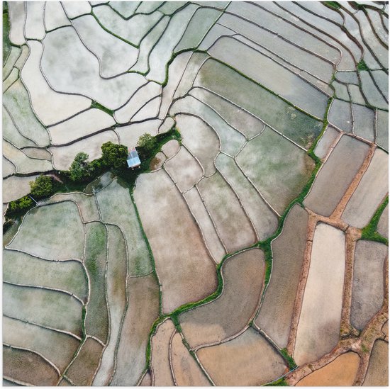 Poster Glanzend – Bovenaanzicht van de Rijstvelden van Vietnam - 50x50 cm Foto op Posterpapier met Glanzende Afwerking