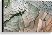 Canvas - Bovenaanzicht van de Rijstvelden van Vietnam - 60x40 cm Foto op Canvas Schilderij (Wanddecoratie op Canvas)
