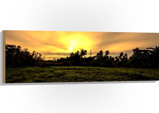 Hout - Grasveld voor Zon verdwijnend achter Palmbomen - 120x40 cm - 9 mm dik - Foto op Hout (Met Ophangsysteem)