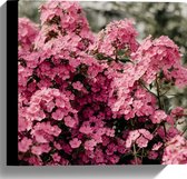 Canvas - Roze Bloementjes - 30x30 cm Foto op Canvas Schilderij (Wanddecoratie op Canvas)