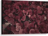 Canvas - Struik van Rode Bladeren - 100x75 cm Foto op Canvas Schilderij (Wanddecoratie op Canvas)