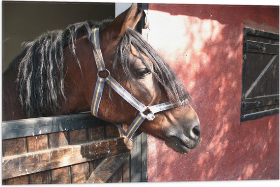 WallClassics - Drapeau - Cheval à la porte de l'écurie - Photo 75x50 cm sur drapeau en polyester