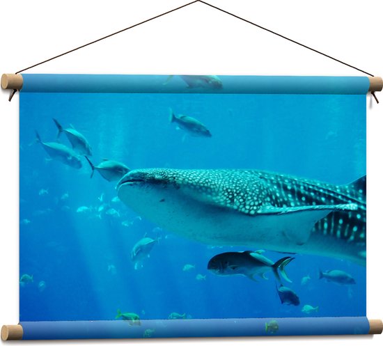 Textielposter - Walvis Zwemmend met Kleine Vissen in de Zee - 60x40 cm Foto op Textiel