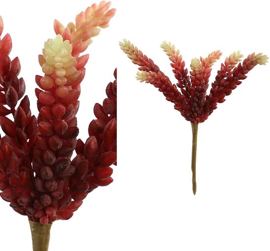 Plante Succulente Sedumpluk - PTMD - Rouge Et Jaune