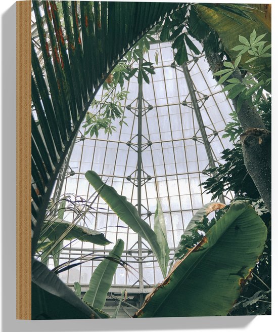 Hout - Groene Bladeren en Planten in Binnenkant Kas - 30x40 cm - 9 mm dik - Foto op Hout (Met Ophangsysteem)