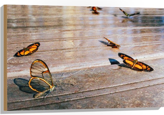 Hout - Groep Oranje Vlinders - 90x60 cm - 9 mm dik - Foto op Hout (Met Ophangsysteem)