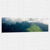 Muursticker - Dichtbegroeide Bergen in Mist van Wolken - 150x50 cm Foto op Muursticker