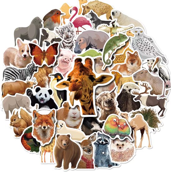 DIFLAX 70 stuks grappige kattenstickers, kattenstickers, grappige vinylstickers, waterbestendig, voor kattenliefhebbers, vinyl, voor waterfles, scrapbooking, telefoon