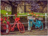 WallClassics - Poster (Mat) - Rode en blauwe Fiets met Bloemen bij wit Hek voor de Gracht - 40x30 cm Foto op Posterpapier met een Matte look