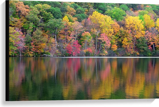 Canvas - Verschillende Kleuren Bomen in Bos aan het Water - 90x60 cm Foto op Canvas Schilderij (Wanddecoratie op Canvas)