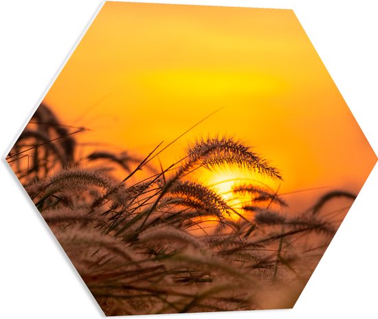 PVC Schuimplaat Hexagon - Stappel Grassen bij Felkleurige Zonsondergang in het Oranje - 60x52.2 cm Foto op Hexagon (Met Ophangsysteem)