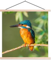 Support pour affiches avec affiche 90 x 90 cm - Affiche scolaire - Vogel - Martin-pêcheur - Branche - Feuilles - Mousse - Affiche textile - Lattes vierges