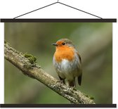 Posterhanger incl. Poster 120x90 cm - Schoolplaat - Vogel - Roodborstje - Tak - Planten - Textielposter - Zwarte latten