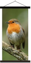 Posterhanger incl. Poster 60x120 cm - Schoolplaat - Vogel - Roodborstje - Tak - Planten - Textielposter - Zwarte latten