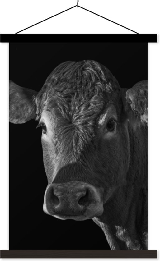 Porte-affiche avec affiche - Affiche scolaire - Vache - Animaux - Zwart - Wit - Portrait - 60x90 cm - Lattes noires