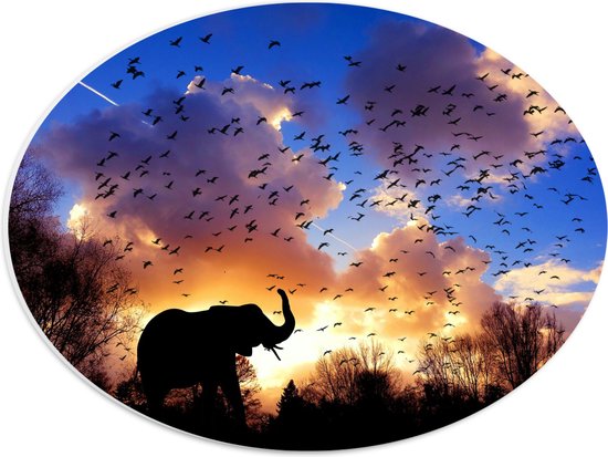 WallClassics - Plaque Ovale en Mousse PVC - Silhouette d'un Éléphant au Soleil Couchant - Photo 40x30 cm sur Ovale (Avec Système d'accrochage)