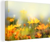 Canvas schilderij 140x90 cm - Wanddecoratie Bloemen - Landschap - Geel - Muurdecoratie woonkamer - Slaapkamer decoratie - Kamer accessoires - Schilderijen