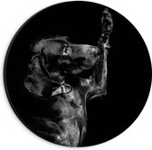 WallClassics - Dibond Muurcirkel - Zwarte Hond Zegt 'Hoi' - 20x20 cm Foto op Aluminium Muurcirkel (met ophangsysteem)