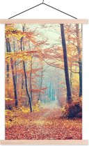 Porte-affiche avec affiche - Affiche scolaire - Forêt - Automne - Feuilles - 40x60 cm - Lattes vierges