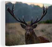 Toile Peinture Cerf - Pâturage - Bois - 160x120 cm - Décoration murale XXL