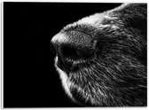 WallClassics - PVC Schuimplaat - Honden Snuit Zwart met Wit - 40x30 cm Foto op PVC Schuimplaat (Met Ophangsysteem)