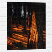 WallClassics - Muursticker - Oranje Zonlicht in het Bos - 60x80 cm Foto op Muursticker