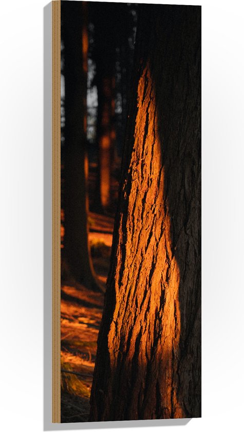 WallClassics - Hout - Oranje Zonlicht in het Bos - 30x90 cm - 9 mm dik - Foto op Hout (Met Ophangsysteem)