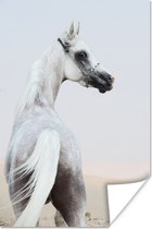 Poster Paard - Zand - Pastel - 40x60 cm