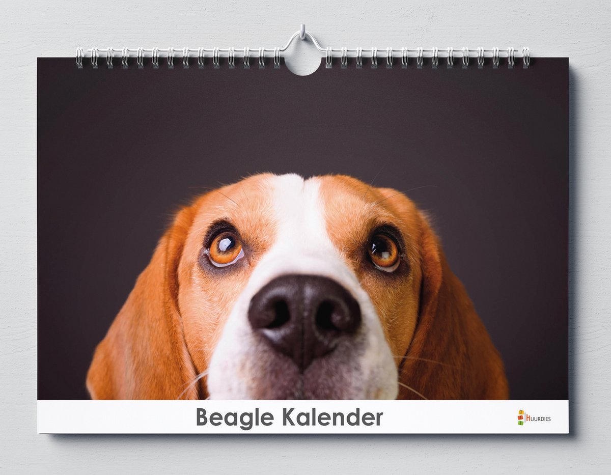 Huurdies - Verjaardagskalender - Beagle - A4