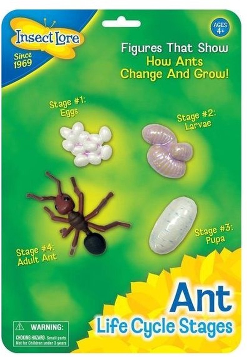 Mieren levenscyclus - Ant's Kingdom