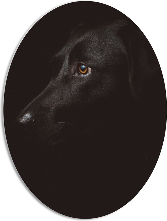 WallClassics - PVC Schuimplaat Ovaal - Zwarte Artistieke Hond - 42x56 cm Foto op Ovaal (Met Ophangsysteem)