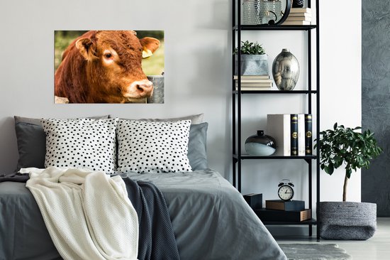 Affiche Highlander écossais - Berg - Clôture - 90x60 cm