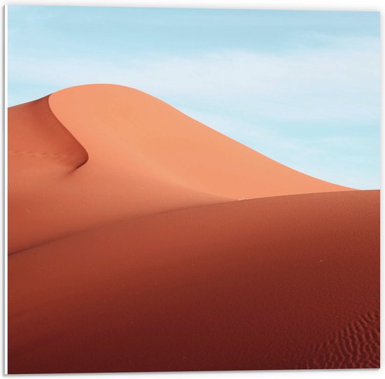 WallClassics - Plaque de Mousse PVC - Collines de Sable dans le Désert - Photo 50x50 cm sur Plaque de Mousse PVC