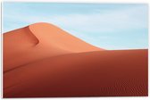 WallClassics - Plaque de Mousse PVC - Collines de Sable dans le Désert - 60x40 cm Photo sur Plaque de Mousse PVC
