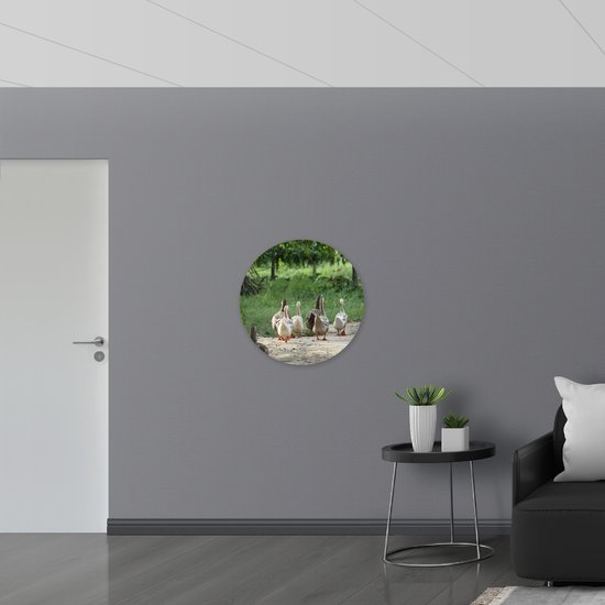 WallClassics - Muursticker Cercle - Canards se dandinant - 70x70 cm Photo sur Muursticker