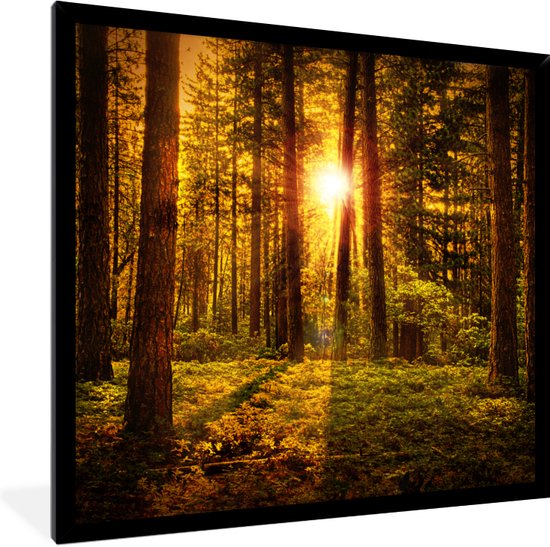 Poster - Cadre photo - Soleil - Forêt - Vert - Nature - 40x40 cm - Cadre poster - Décoration chambre - Poster forêt - Tableau cadre - Poster nature - Poster avec cadre