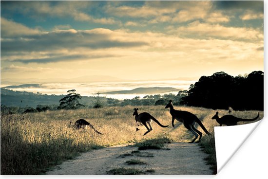 Kangoeroes op de weg Poster 60x40 cm - Foto print op Poster (wanddecoratie woonkamer / slaapkamer)
