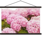 Posterhanger incl. Poster 60x40 cm - Schoolplaat - Struik - Bloemen - Roze - Hortensia - Textielposter - Zwarte latten