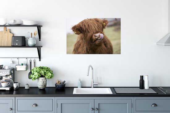 Highlander écossais lèche ses lèvres papier d'affiche