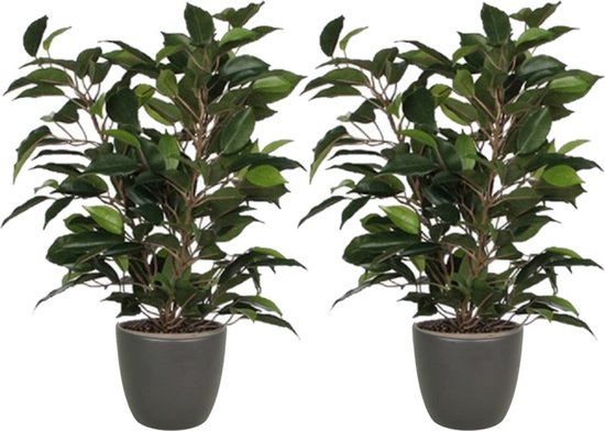 2x stuks groene ficus kunstplant 40 cm met plantenpot mat antraciet grijs D13.5 en H12.5 cm