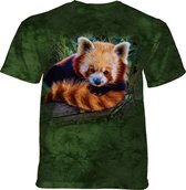 T-shirt Red Panda XL