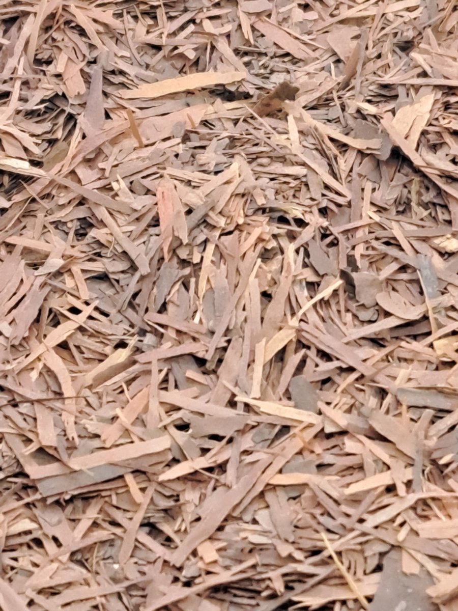 Lapacho (Tabebuia impetiginosa)100g ook bekend als Pau d’Arco of levensboom