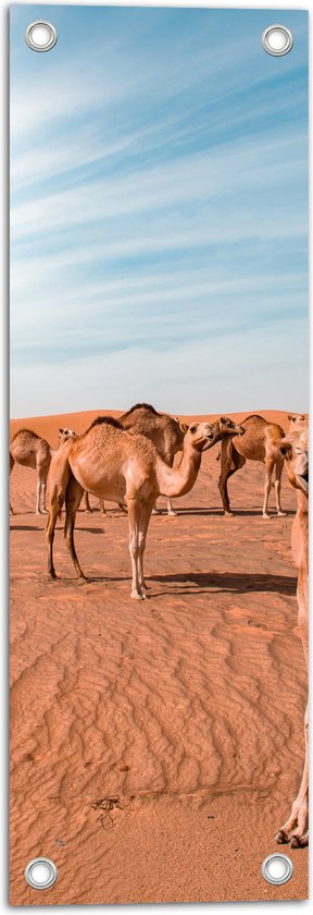 Tuinposter – Dromedarissen in de Woestijn - 20x60 cm Foto op Tuinposter (wanddecoratie voor buiten en binnen)