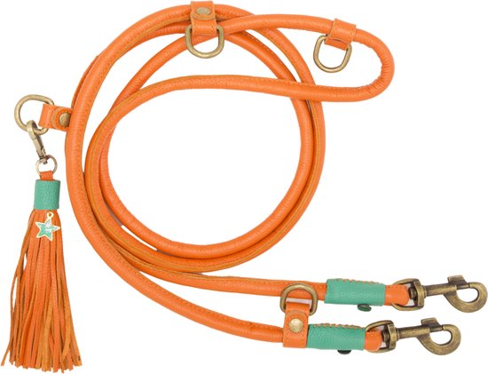 DWAM Hondenriem Extra Lang Jottum Orange S 200 x 1 cm - Hond