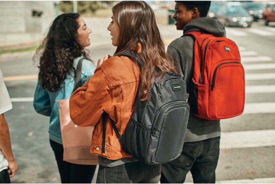 Dakine Prom 25L Rugzak Grijs/Roze Dames
